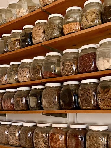 Lara Rosenthal Acupuncture - Fertility acupuncture clinic