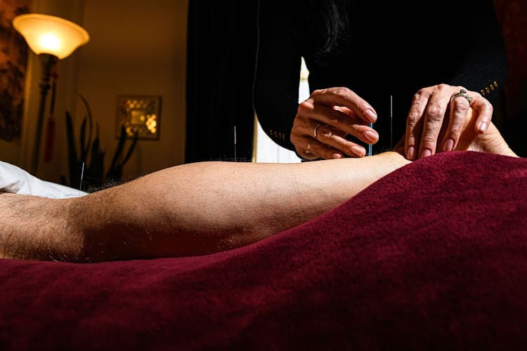 Dr. Denise An Integrative Acupuncture & Chinese Herbal Medicine - Fertility acupuncture clinic