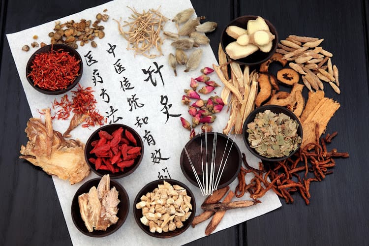 North End Acupuncture & Chinese Herbal Medicine - Fertility acupuncture clinic