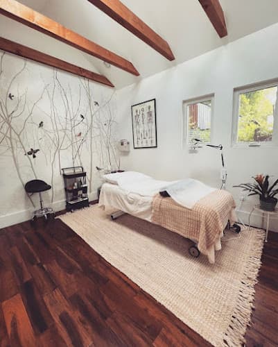 Fertile Moon Integrative Medicine - Fertility acupuncture clinic