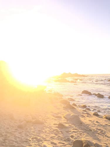 Castano Wellness - Fertility acupuncture clinic