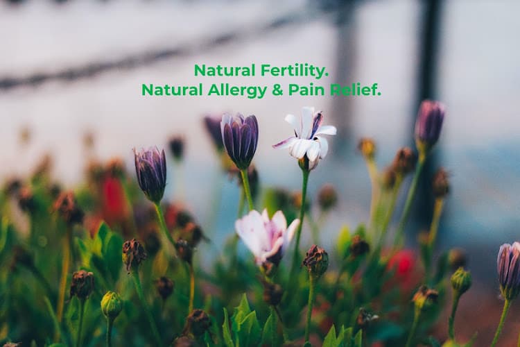 Allen Acupuncture & Wellness, LLC - Fertility acupuncture clinic