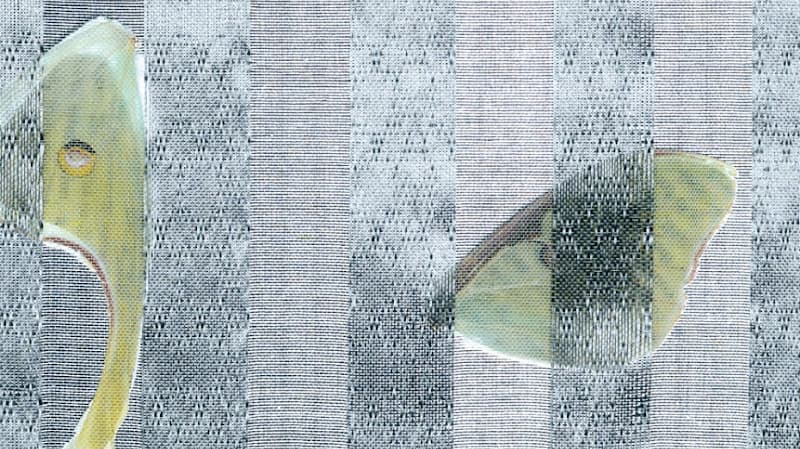 Luna Acupuncture - Fertility acupuncture clinic