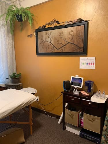 Avalon Acupuncture and Chinese Medicine, LLC - Fertility acupuncture clinic