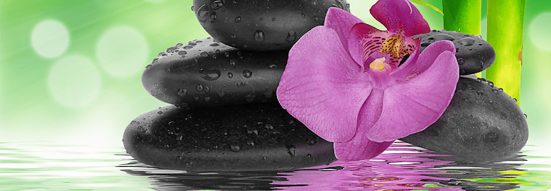 Sally Monaghan, DACM Acupuncture & Herbology - Fertility acupuncture clinic