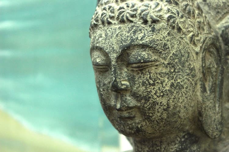 Lotus Integrative Medicine - Fertility acupuncture clinic