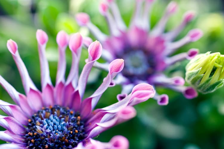 NJ Acupuncturessage & Fertility - The Wellness Pe - Fertility acupuncture clinic